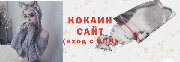 соль ск Арсеньев