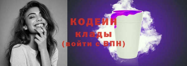 соль ск Арсеньев